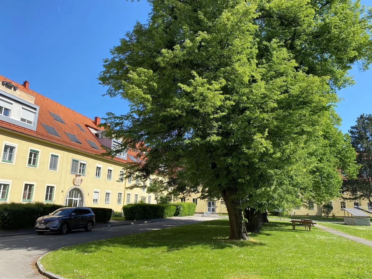 2-Zimmer-Gewerbeimmobilie mieten in Linz – 77 m², € 999 – Bild 9 von 10