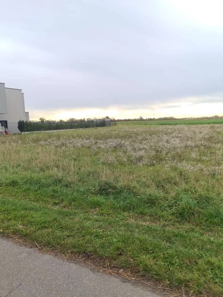 Grundstück kaufen in Korneuburg – 739 m², € 495.000