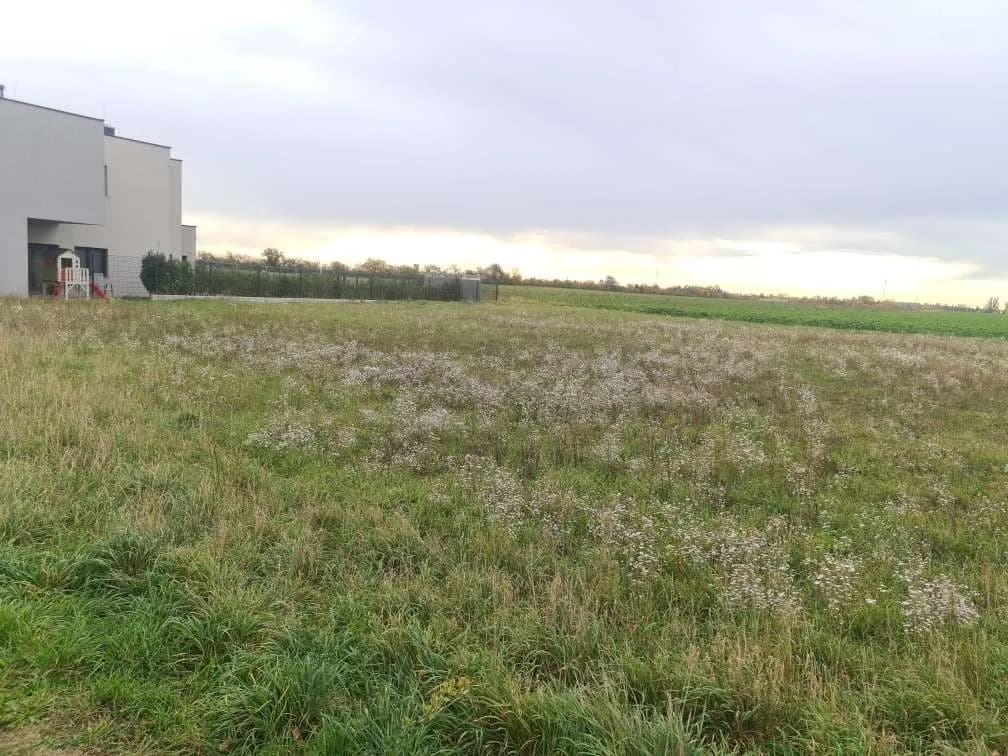Grundstück kaufen in Korneuburg – 739 m², € 495.000 – Bild 2 von 6