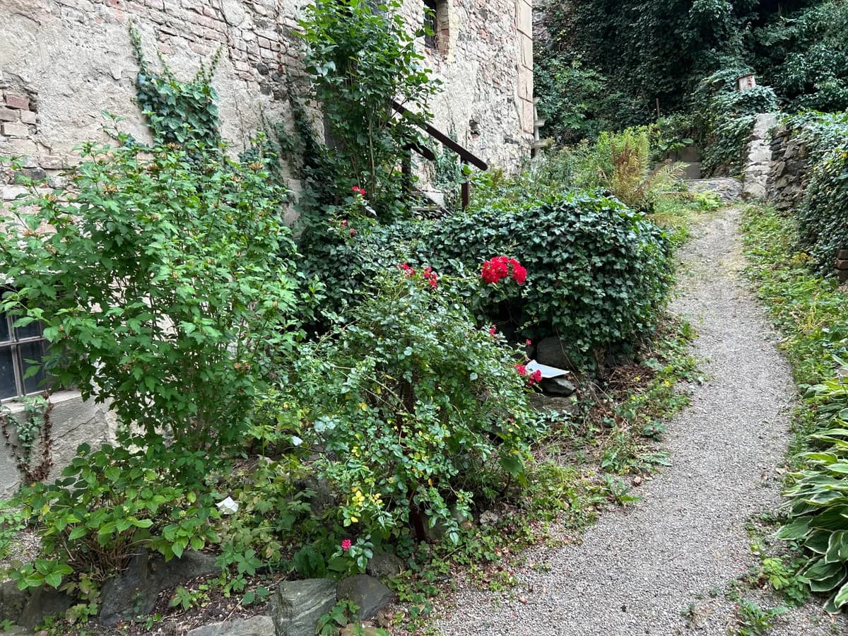 4-Zimmer-Wohnung mieten in Horn – 130 m², € 880 – Bild 4 von 23
