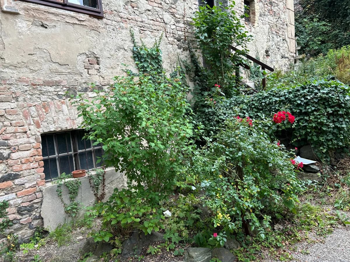 4-Zimmer-Wohnung mieten in Horn – 130 m², € 880 – Bild 5 von 23
