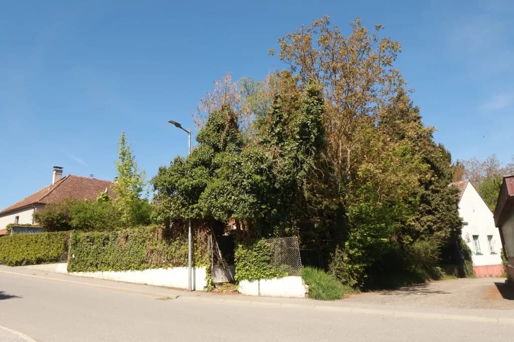Haus kaufen in Güssing – 75 m², € 88.000 – Bild 7 von 9
