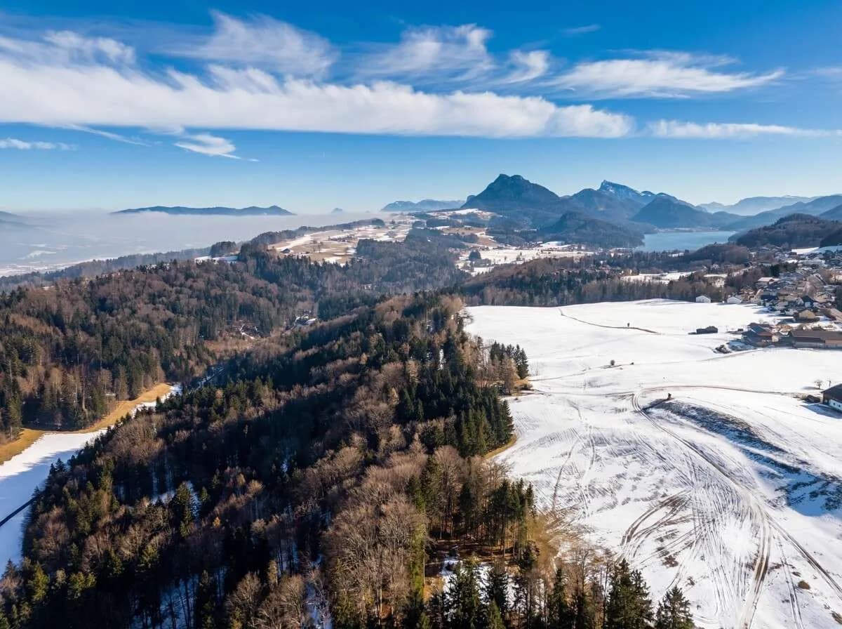 3-Zimmer-Wohnung kaufen in Salzburg-Umgebung – 97,29 m², € 639.000 – Bild 5 von 9