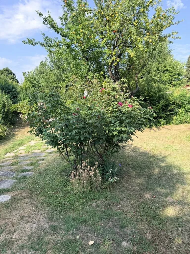 Wohnung kaufen in Tulln – 35 m², € 350.000 – Bild 4 von 8