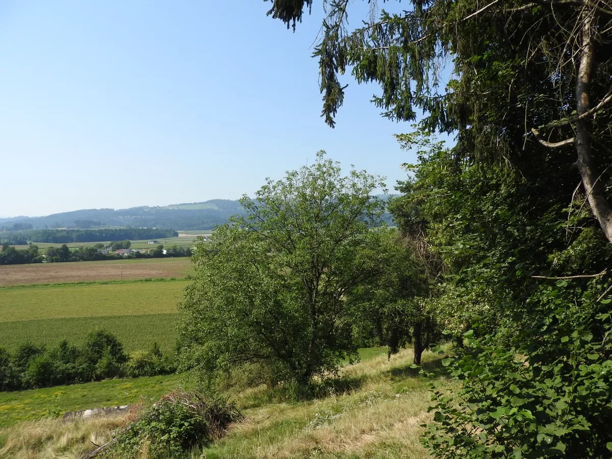 Grundstück kaufen in Wolfsberg – 1 309 m²