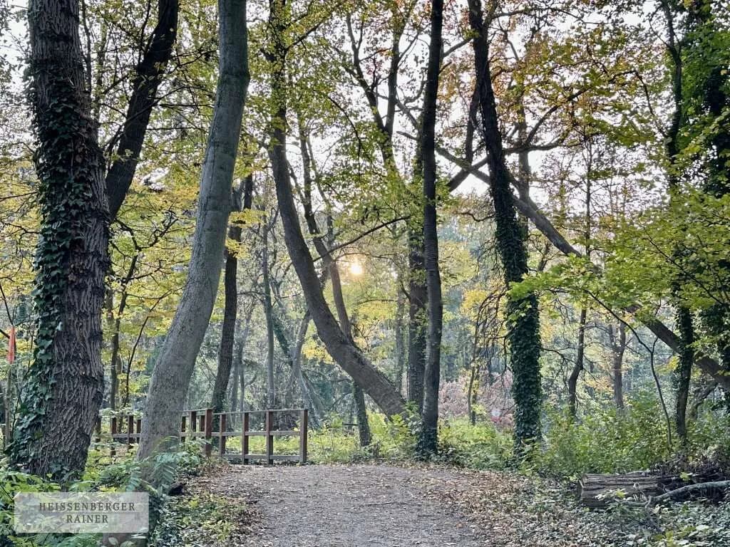 Grundstück kaufen in Baden – 685 m², € 242.549 – Bild 4 von 7