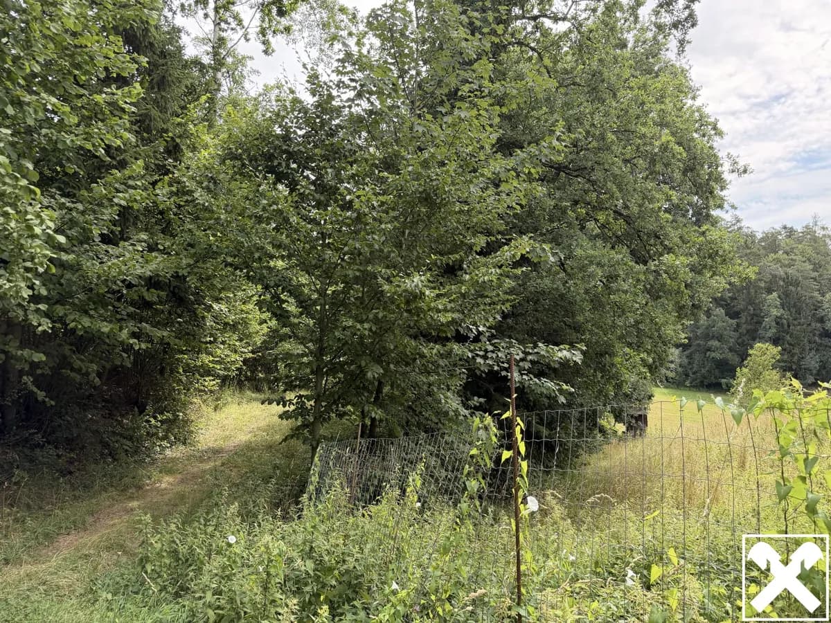 Haus kaufen in Rohrbach – 65 m², € 145.000 – Bild 21 von 25