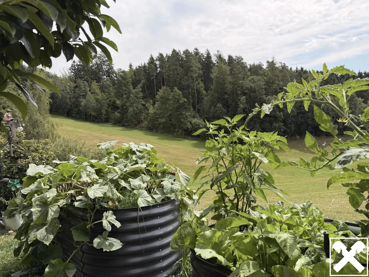 Haus kaufen in Rohrbach – 65 m², € 145.000 – Bild 23 von 25