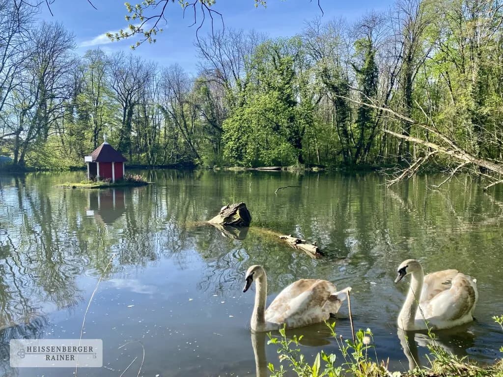 Grundstück kaufen in Baden – 2 379 m², € 832.500 – Bild 7 von 9