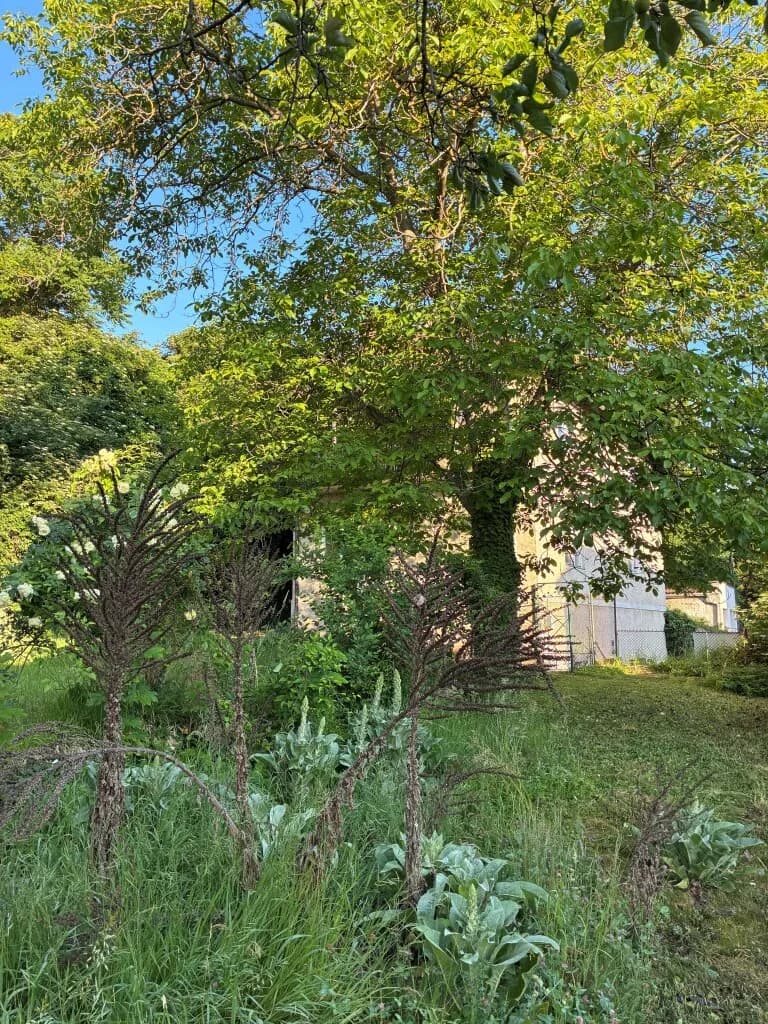 Grundstück kaufen in Krems an der Donau – 934 m², € 560.000 – Bild 2 von 13