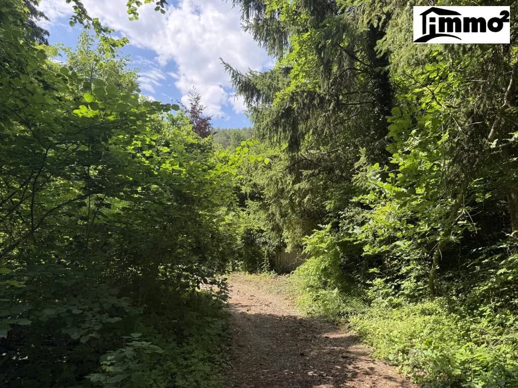 Grundstück kaufen in Villach Land – 4 648 m², € 999.000 – Bild 5 von 9