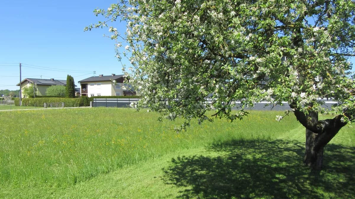 Grundstück kaufen in Braunau am Inn – 1 336 m², € 334.000 – Bild 6 von 6