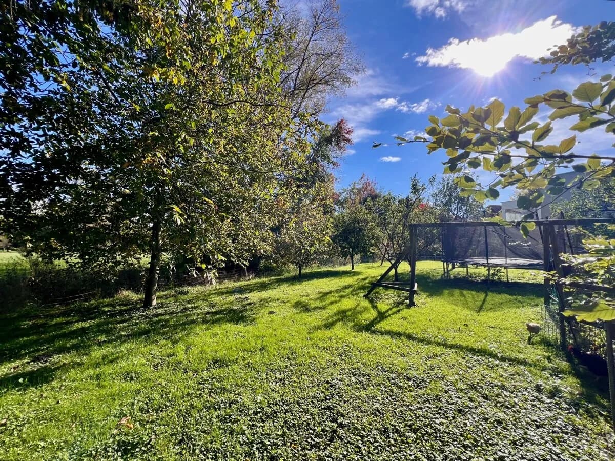 Grundstück kaufen in Dornbirn – 736 m², € 404.800 – Bild 3 von 3