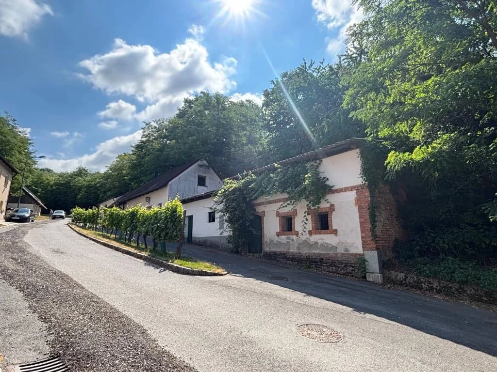 3-Zimmer-Haus mieten in Mistelbach – 96 m², € 790 – Bild 10 von 17