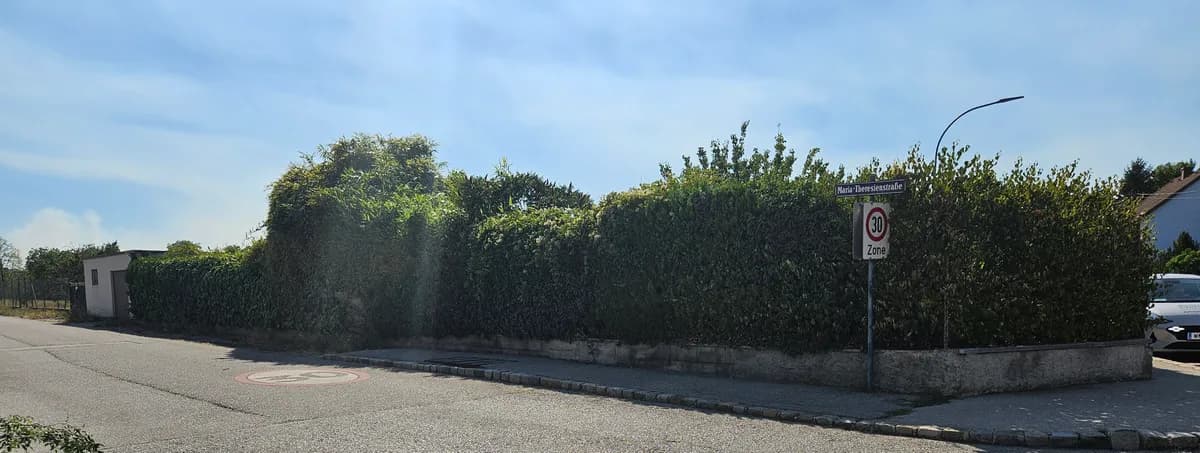 Haus kaufen in Wiener Neustadt Land – 123 m², € 470.000 – Bild 4 von 12