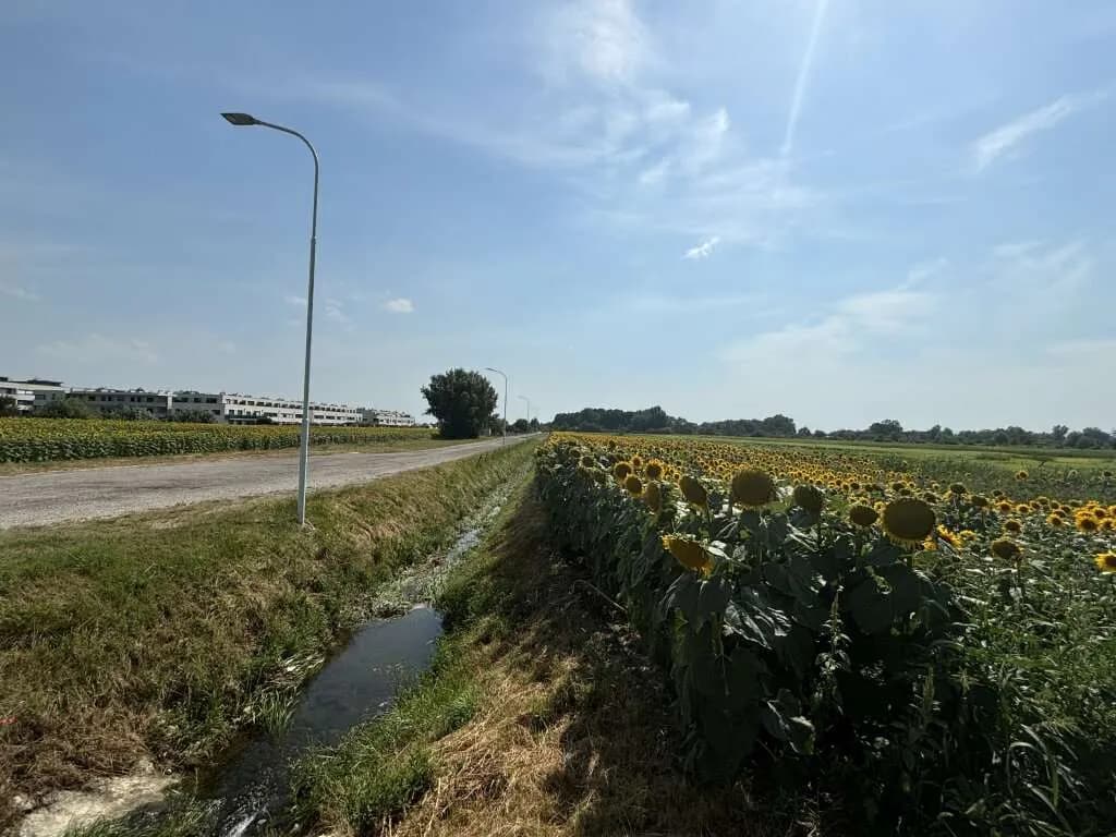 Grundstück kaufen in Neusiedl am See – 2 113 m², € 349.000