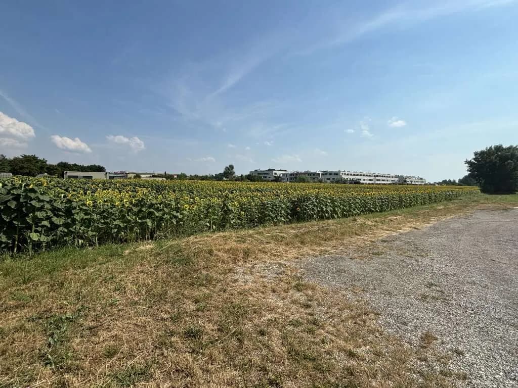 Grundstück kaufen in Neusiedl am See – 2 113 m², € 349.000 – Bild 2 von 3