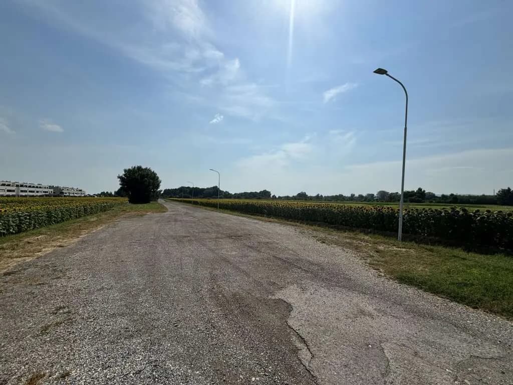 Grundstück kaufen in Neusiedl am See – 2 113 m², € 349.000 – Bild 3 von 3