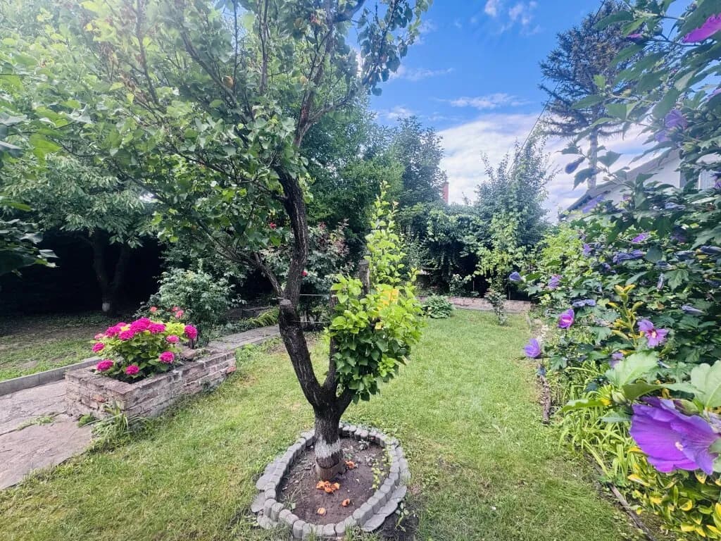 Haus kaufen in Wien – 361 m², € 565.000