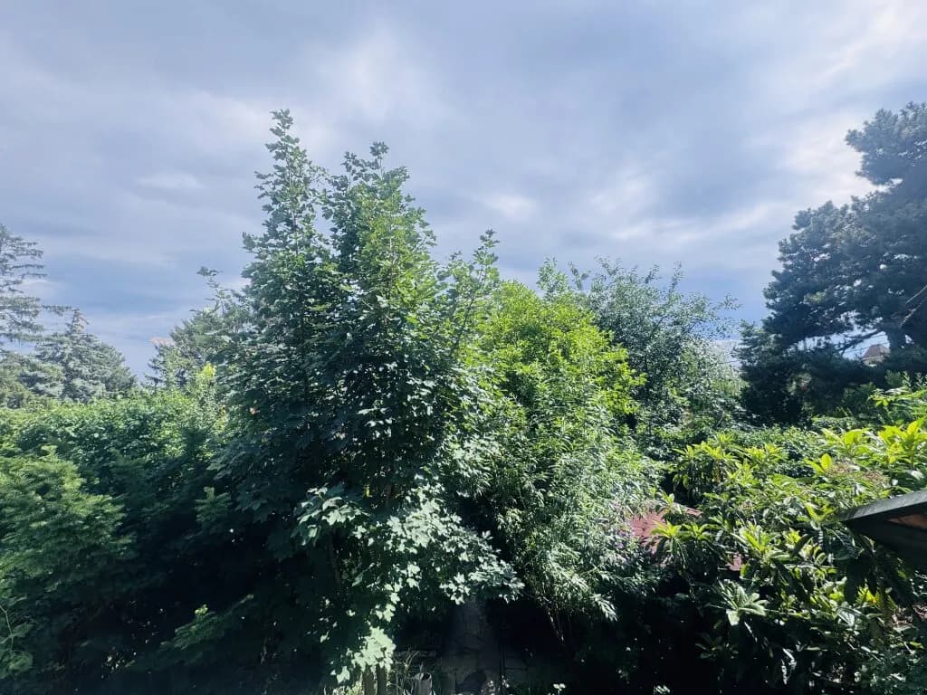 Haus kaufen in Wien – 361 m², € 565.000 – Bild 14 von 14