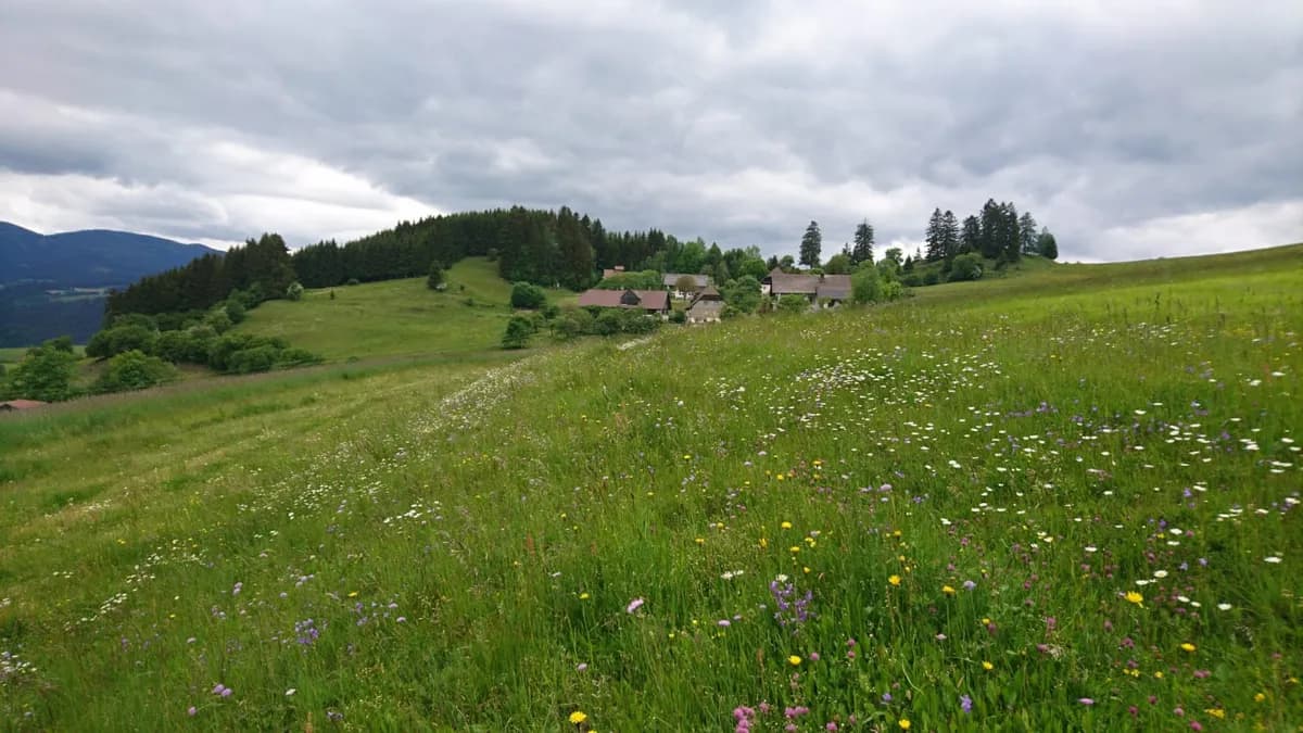 Immobilie mieten in Murau – 1 000 m²