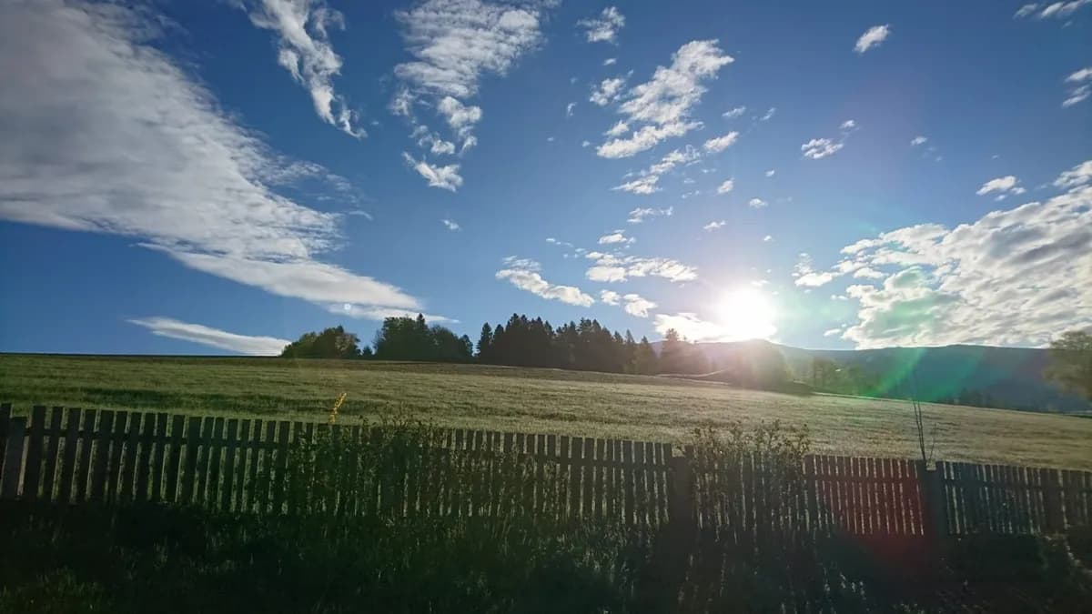 Immobilie mieten in Murau – 1 000 m² – Bild 3 von 10