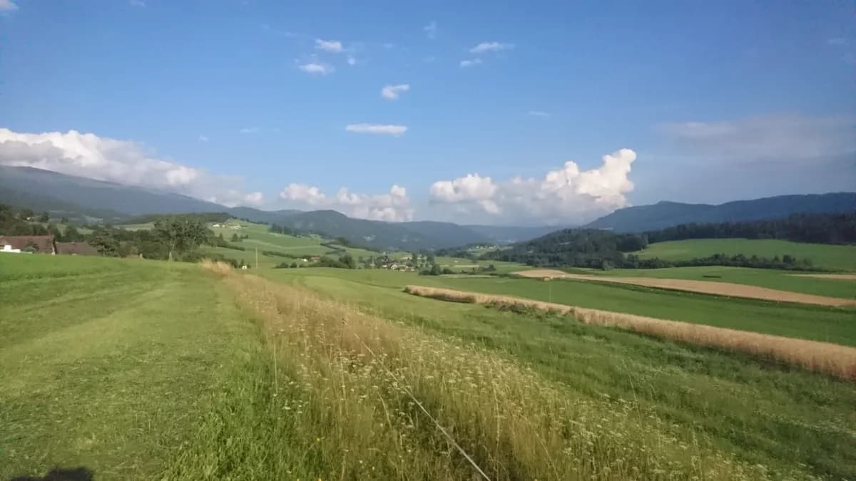 Immobilie mieten in Murau – 1 000 m² – Bild 4 von 10