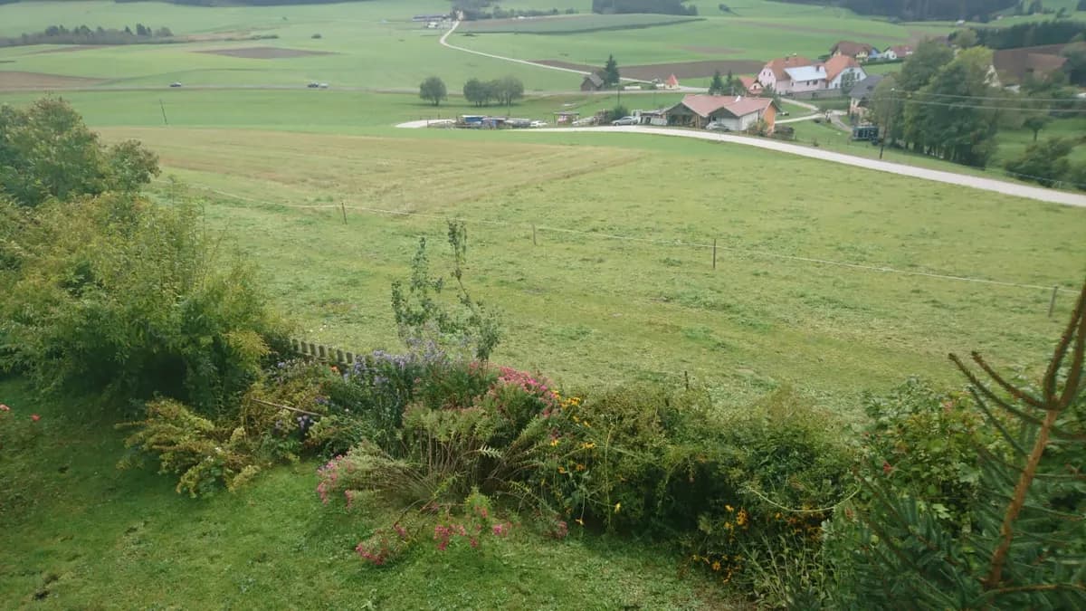 Immobilie mieten in Murau – 1 000 m² – Bild 5 von 10