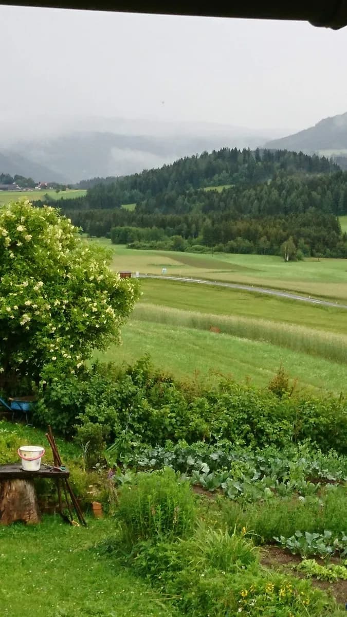 Immobilie mieten in Murau – 1 000 m² – Bild 7 von 10