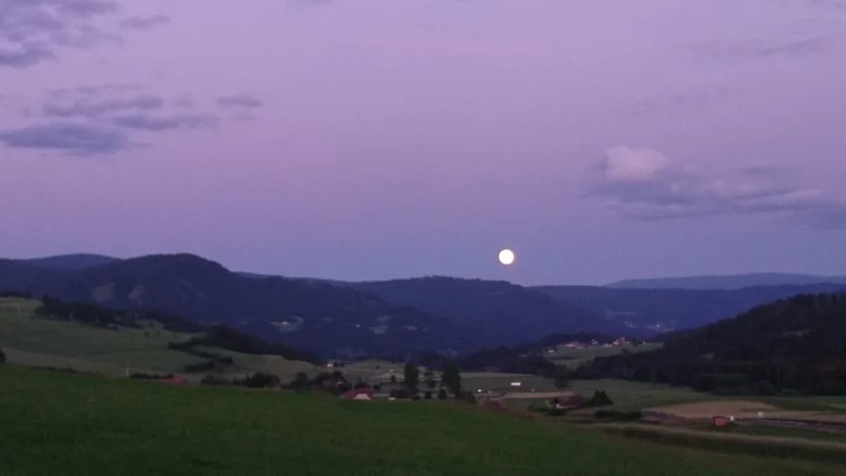 Immobilie mieten in Murau – 1 000 m² – Bild 8 von 10