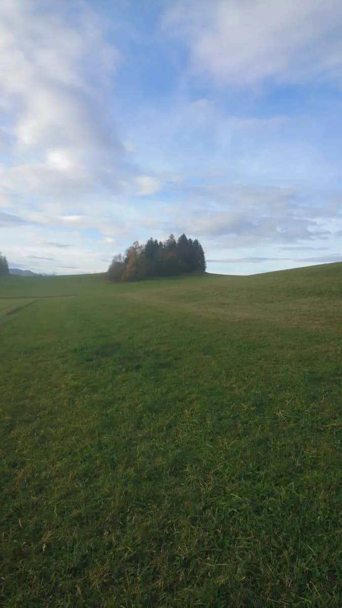 Immobilie mieten in Murau – 1 000 m² – Bild 9 von 10