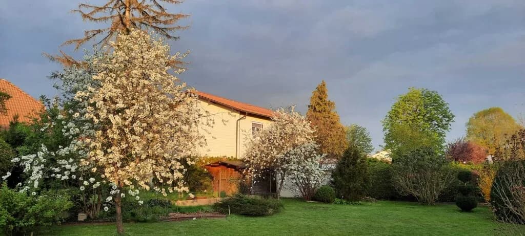 8-Zimmer-Haus kaufen in Wels – 140 m², € 495.000 – Bild 6 von 37