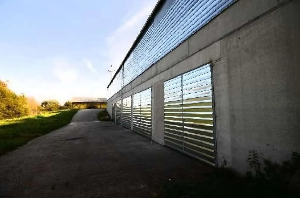 Immobilie mieten in Eferding – € 35 – Bild 4 von 4