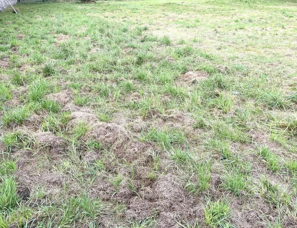 Grundstück kaufen in Graz-Umgebung – 4 521 m², € 904.200