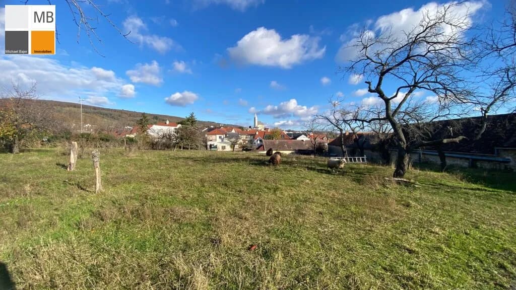 Haus kaufen in Eisenstadt – 4 044 m², € 1.500.000 – Bild 2 von 14