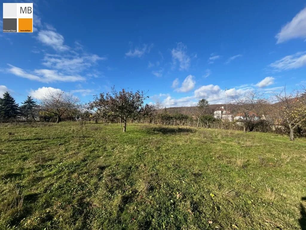 Haus kaufen in Eisenstadt – 4 044 m², € 1.500.000 – Bild 7 von 14
