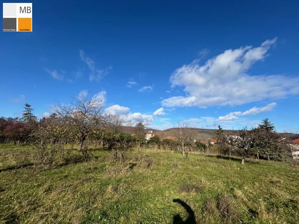 Haus kaufen in Eisenstadt – 4 044 m², € 1.500.000 – Bild 10 von 14