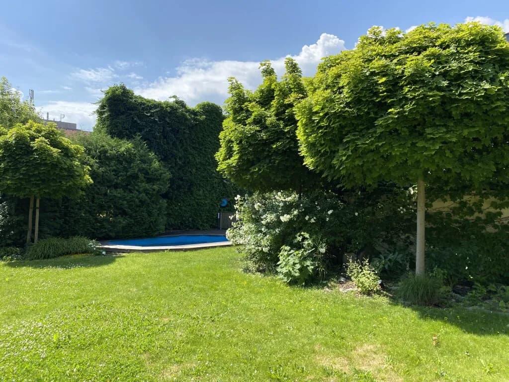 6-Zimmer-Wohnung kaufen in Wels – 244 m², € 1.400.000 – Bild 24 von 28