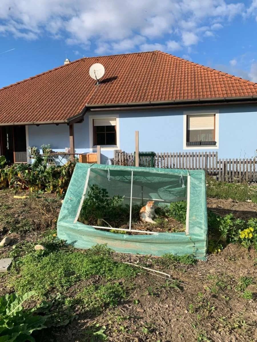 1-Zimmer-Haus mieten in Tulln – 16 m², € 400 – Bild 18 von 19