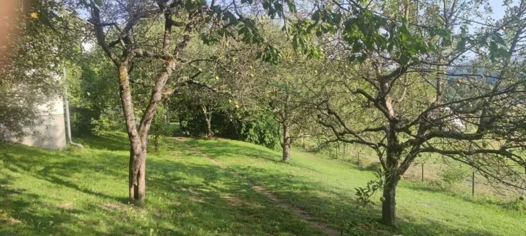 Grundstück kaufen in Klagenfurt Land – 877 m², € 125.000 – Bild 2 von 10