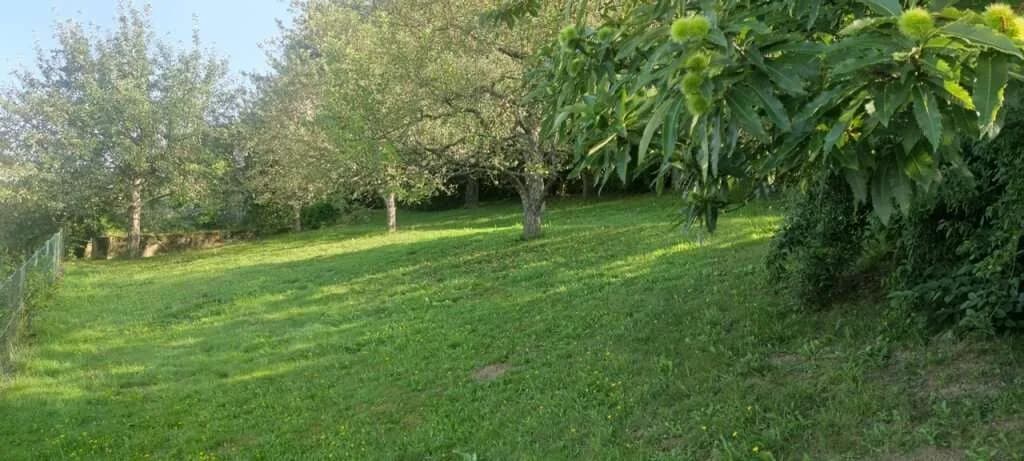 Grundstück kaufen in Klagenfurt Land – 877 m², € 125.000 – Bild 3 von 10