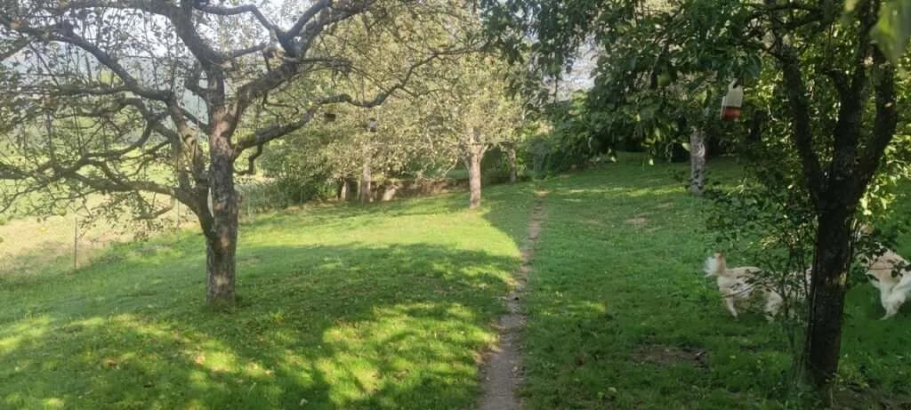 Grundstück kaufen in Klagenfurt Land – 877 m², € 125.000 – Bild 4 von 10
