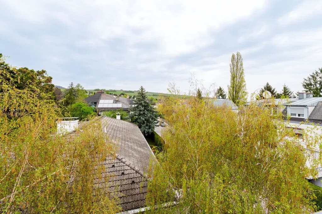 3-Zimmer-Wohnung kaufen in Wien – 176,62 m², € 4.000.000 – Bild 20 von 64