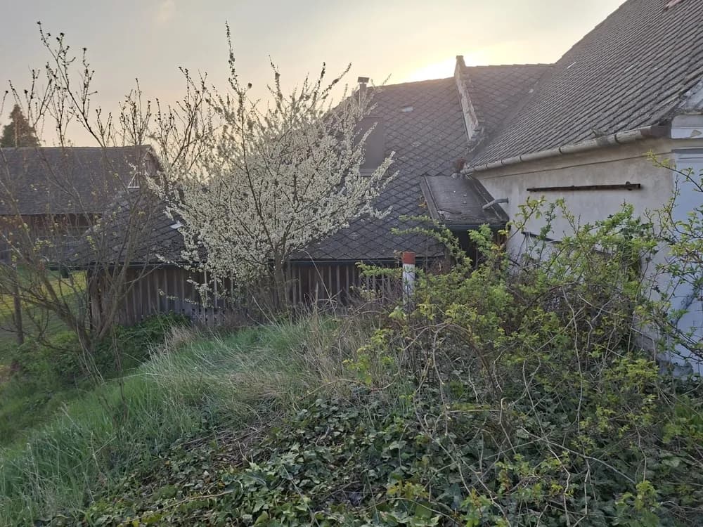 Gewerbeimmobilie kaufen in Sankt Pölten Land – 266,75 m², € 199.000 – Bild 5 von 17