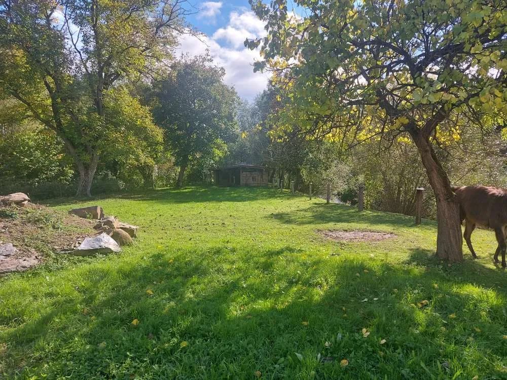 Immobilie kaufen in Melk – 378 m², € 587.000