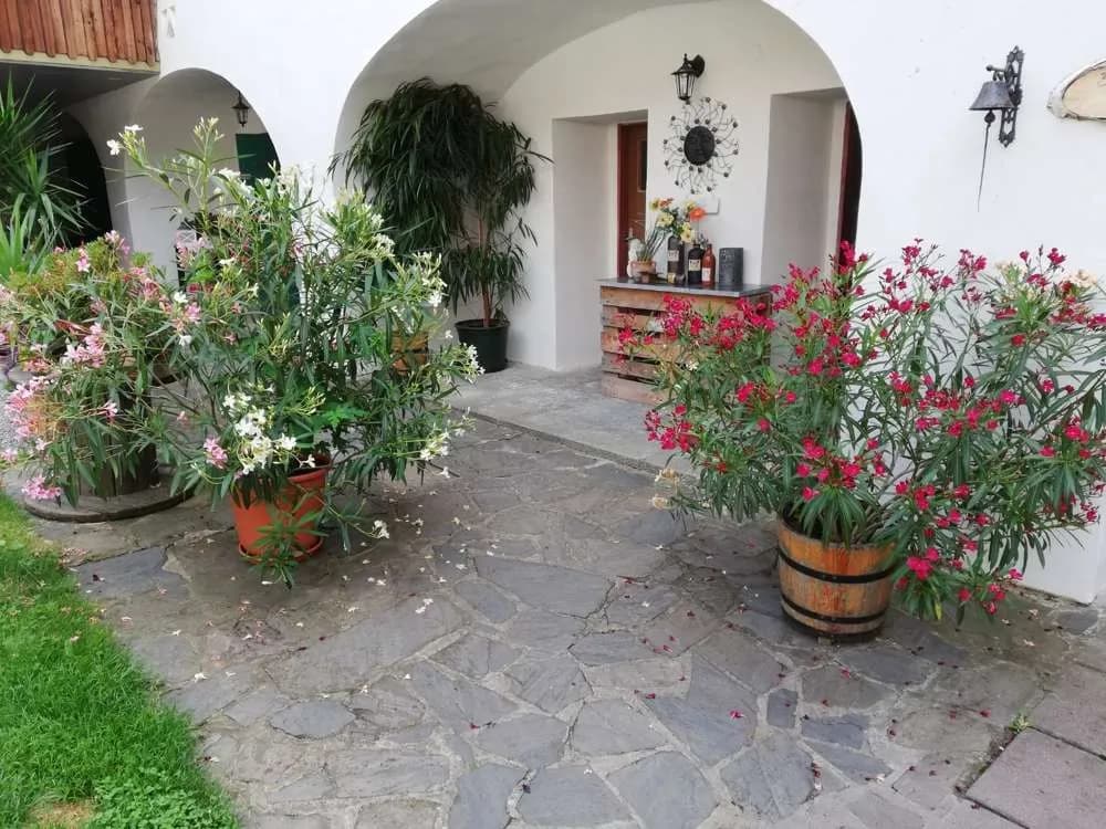 Immobilie kaufen in Melk – 378 m², € 587.000 – Bild 17 von 25