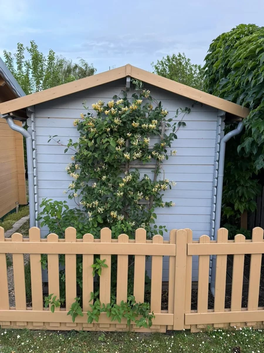 4-Zimmer-Wohnung kaufen in Eisenstadt - Umgebung – 45 m², € 46.000 – Bild 11 von 14