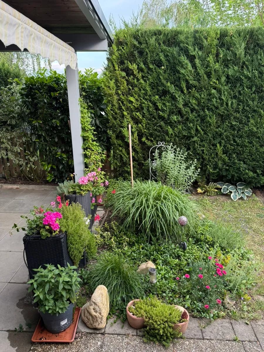 4-Zimmer-Wohnung kaufen in Eisenstadt - Umgebung – 45 m², € 46.000 – Bild 14 von 14