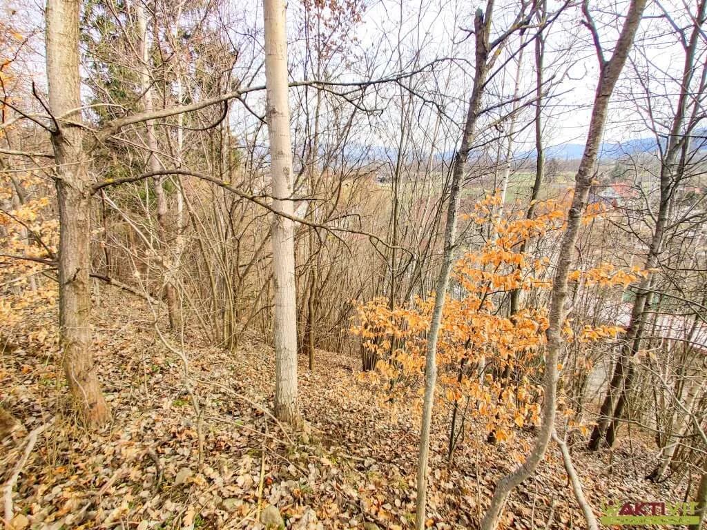 Grundstück kaufen in Murtal – 3 623 m², € 315.000 – Bild 4 von 7