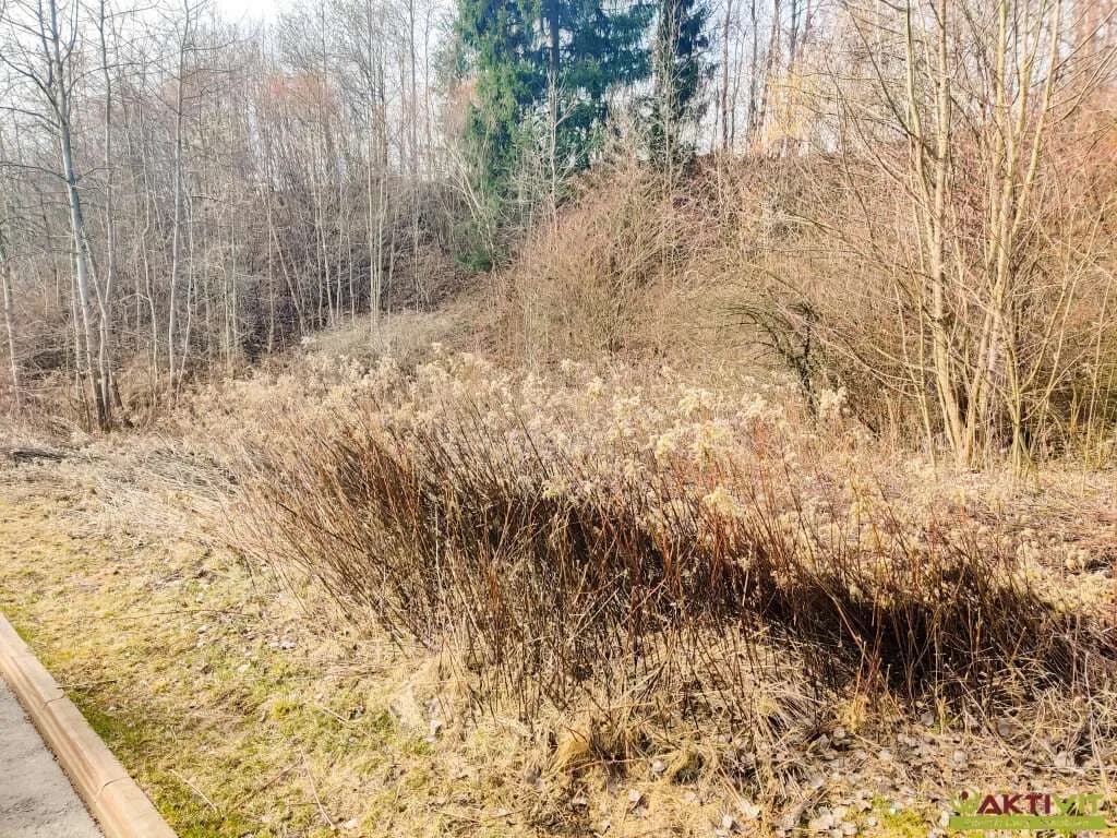 Grundstück kaufen in Murtal – 3 623 m², € 315.000 – Bild 7 von 7